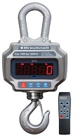 BCS Series Crane Scale